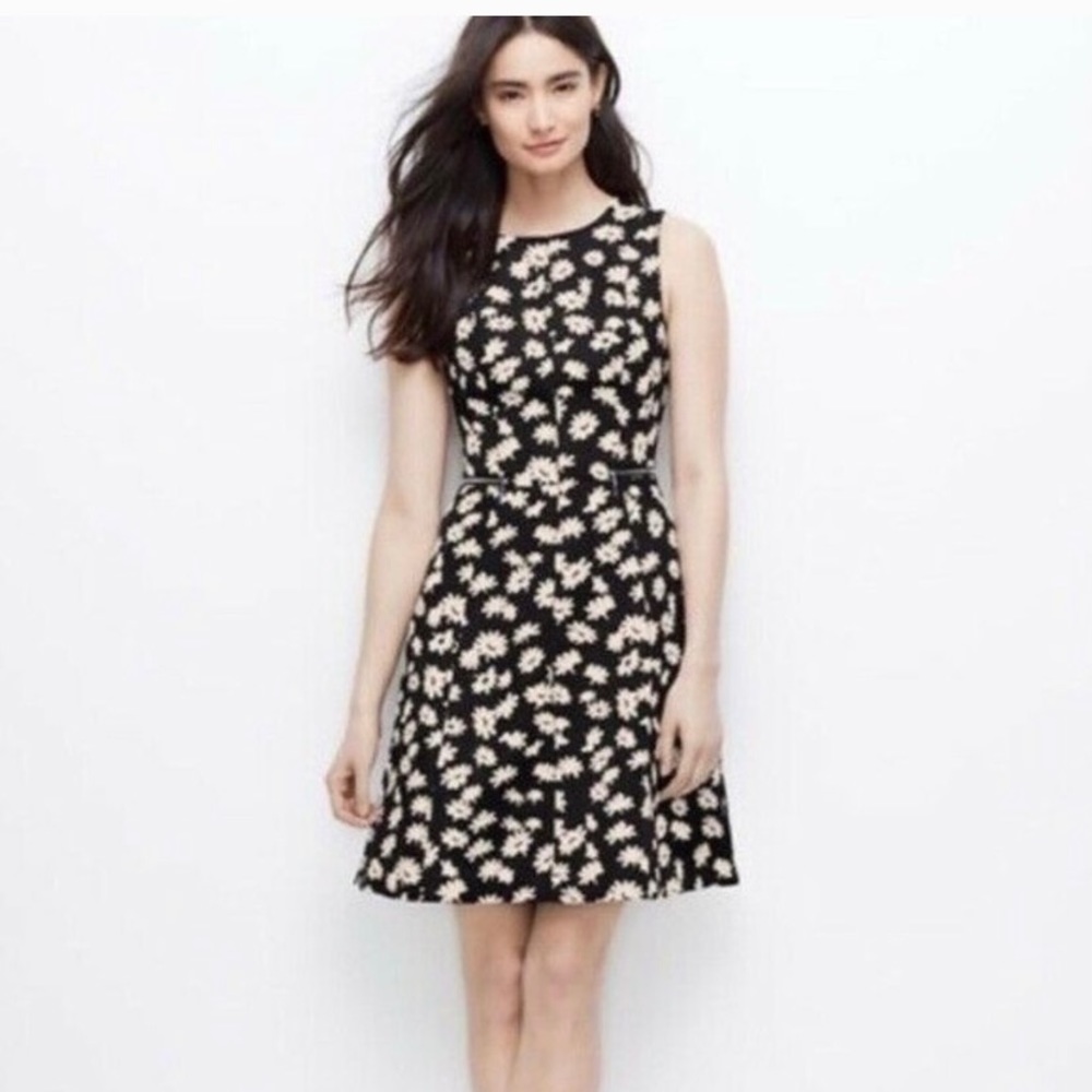 Ann Taylor Daisy sundress